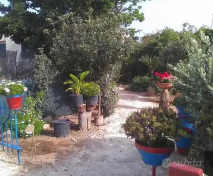 فندق La Mia Africa فافينانا المظهر الخارجي الصورة